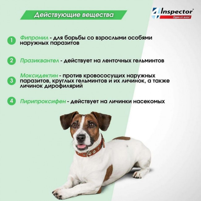 Inspector Quadro капли на холку для собак 4-10кг,от блох, клещей, гельминтов 1 пипетка