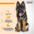 Inspector Quadro капли на холку для собак 25-40кг,от блох, клещей, гельминтов 1 пипетка