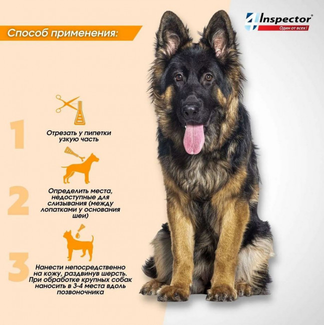 Inspector Quadro капли на холку для собак 25-40кг,от блох, клещей, гельминтов 1 пипетка