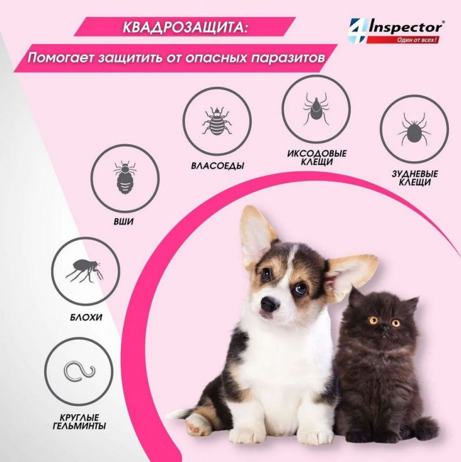 Inspector MINI для котят и щенков до 2кг, от блох, клещей, гельминтов 1 пипетка