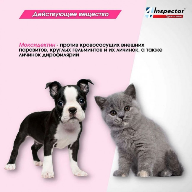 Inspector MINI для котят и щенков до 2кг, от блох, клещей, гельминтов 1 пипетка