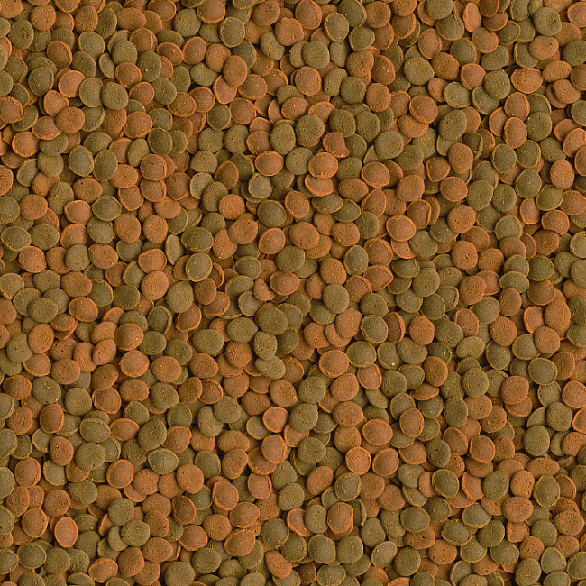 Tetra WaferMix корм-чипсы для всех донных рыб 15 гр