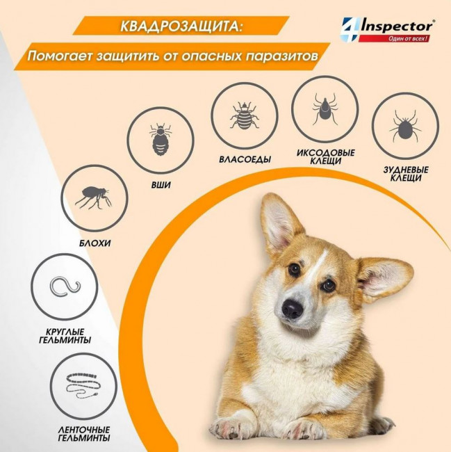 Inspector Quadro капли на холку для собак 40-60кг,от блох, клещей, гельминтов 1 пипетка