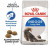 Royal Canin Indoor Long Hair сухой корм для длинношерстных кошек  2 кг