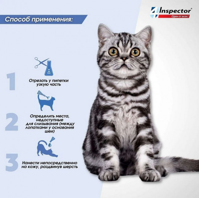 Inspector Quadro капли на холку для кошек 1-4 кг от блох, клещей, гельминтов, 1 пипетка