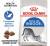 Royal Canin Сухой корм Indoor 27 для кошек, живущих в помещении 0,4 кг
