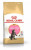 Royal Canin Сухой корм Maine Coon Kitten для котят породы Мэйн Кун от 4 до 15 месяцев 2 кг