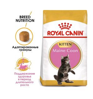 Royal Canin Сухой корм Maine Coon Kitten для котят породы Мэйн Кун от 4 до 15 месяцев 2 кг