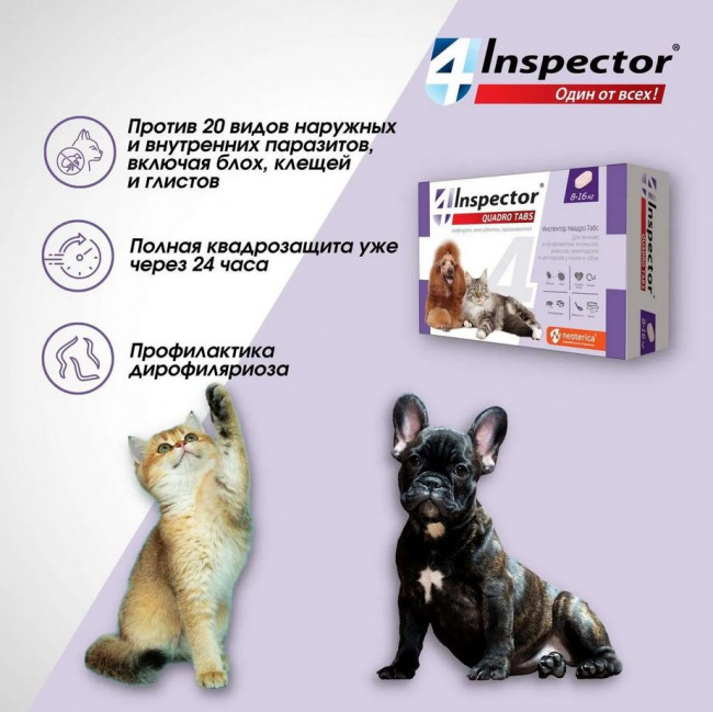 Inspector Quadro Таблетки для кошек и собак 8-16кг,от блох, клещей, гельминтов 4 таблетки