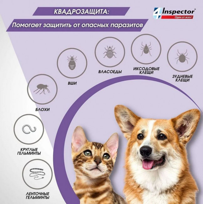 Inspector Quadro Таблетки для кошек и собак 8-16кг,от блох, клещей, гельминтов 4 таблетки