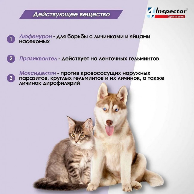 Inspector Quadro Таблетки для кошек и собак 8-16кг,от блох, клещей, гельминтов 4 таблетки