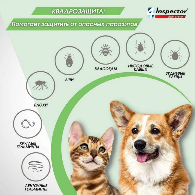 Inspector Quadro Таблетки для кошек и собак 2-8кг, от блох, клещей, гельминтов 4 таблетки