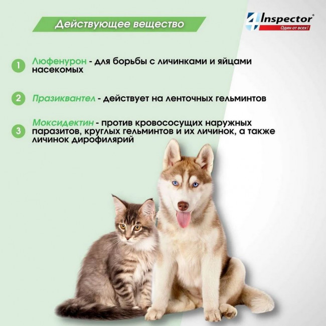 Inspector Quadro Таблетки для кошек и собак 2-8кг, от блох, клещей, гельминтов 4 таблетки