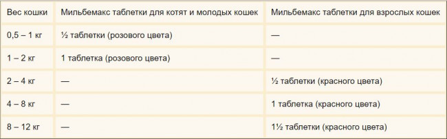 Мильбемакс антигельминтик для котят и молодых кошек, таблетки 4 мг/10 мг 2 шт в упаковке