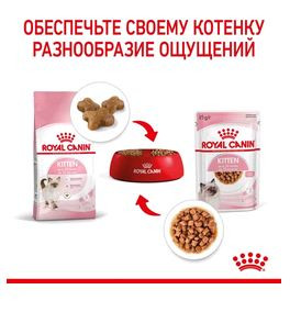 Royal Canin KITTEN корм полнорационный для котят до 12 месяцев (кусочки в желе) 85г