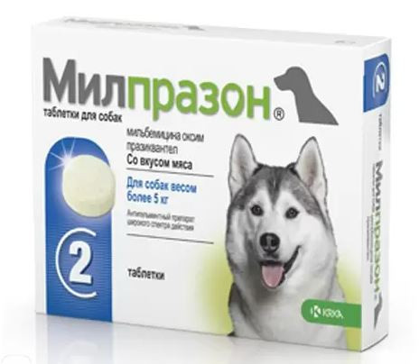 Милпразон антигельминтик для собак более 5 кг, таблетки 12,5 мг/125 мг 2 шт в упаковке