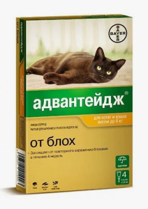 Адвантейдж от блох для котят и кошек до 4 кг, 4 пипетки