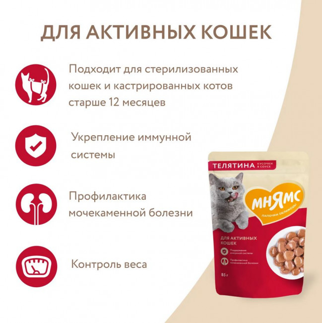 Влажный корм Мнямс Кусочки в соусе с телятиной для активных кошек, 85г