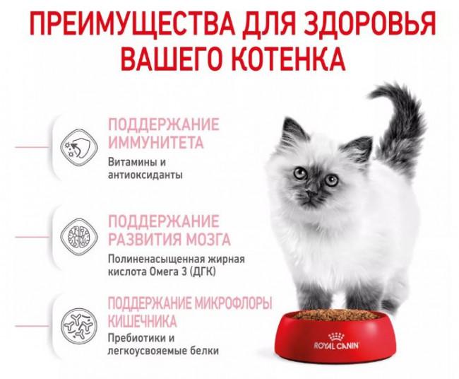 Royal Canin KITTEN  корм сухой полнорационный для котят  до 12 месяцев 0,3 кг