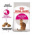 Royal Canin Сухой корм Savour Exigent для кошек привередливых к вкусу  10 кг