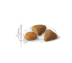 Royal Canin Сухой корм Savour Exigent для кошек привередливых к вкусу  10 кг