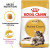 Royal Canin Maine Coon сухой корм для кошек породы Мейн Кун 0,4 кг
