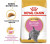 Royal Canin Сухой корм  Kitten British Shorthair для британских короткошерстных котят 0,4 кг