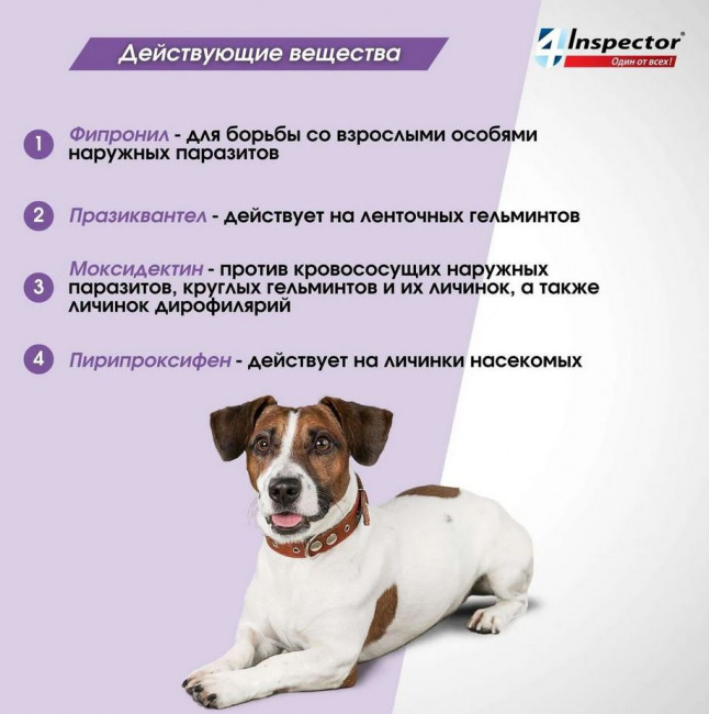 Inspector Quadro капли на холку для собак 10-25кг,от блох, клещей, гельминтов 1 пипетка