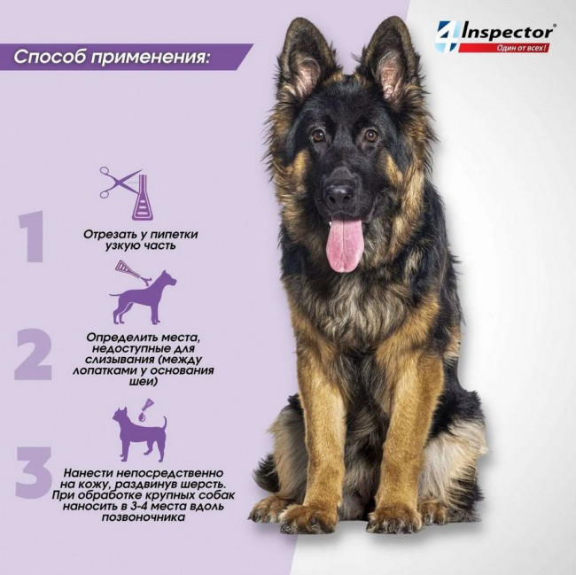 Inspector Quadro капли на холку для собак 10-25кг,от блох, клещей, гельминтов 1 пипетка