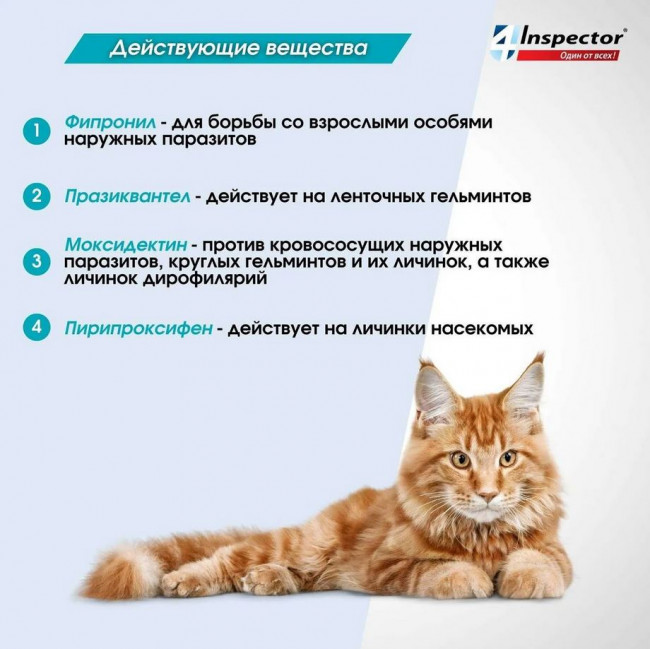 Inspector Quadro капли на холку для кошек 4-8кг от блох, клещей, гельминтов, 1 пипетка
