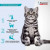Inspector Quadro капли на холку для кошек 4-8кг от блох, клещей, гельминтов, 1 пипетка