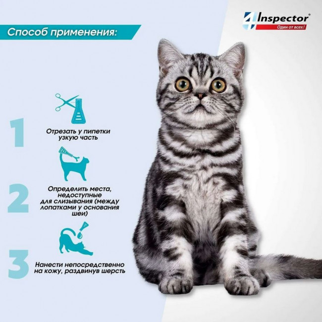 Inspector Quadro капли на холку для кошек 4-8кг от блох, клещей, гельминтов, 1 пипетка