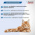 Inspector Quadro капли на холку для кошек 8-15кг от блох, клещей, гельминтов, 1 пипетка