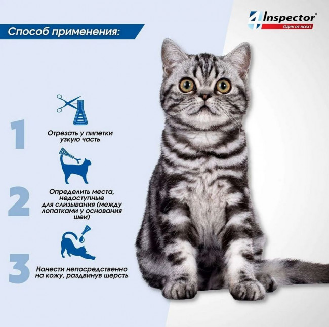Inspector Quadro капли на холку для кошек 8-15кг от блох, клещей, гельминтов, 1 пипетка