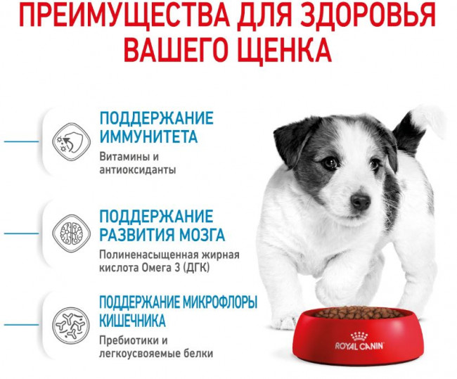 Royal Canin Mini Junior сухой корм для щенков мелких пород 0,8кг