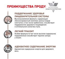 Royal Canin Корм сухой Gastrointestinal Fibre Response полнорационный диетический для взрослых кошек  2 кг