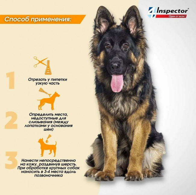 Inspector Quadro капли на холку для собак 1-4кг,от блох, клещей, гельминтов 1 пипетка